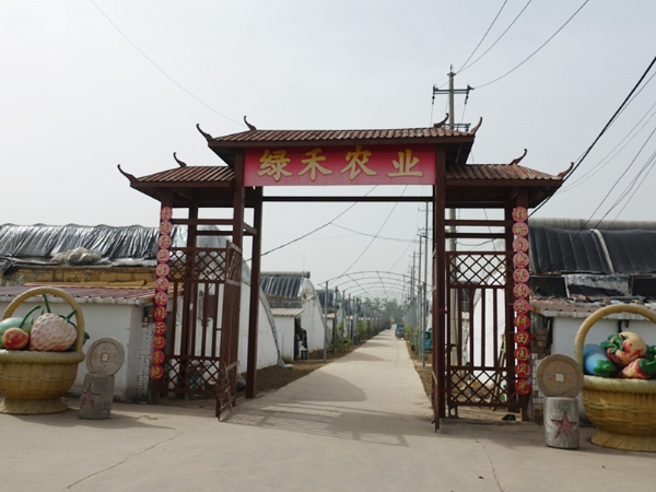 綠禾農(nóng)業(yè) 綠禾農(nóng)業(yè)